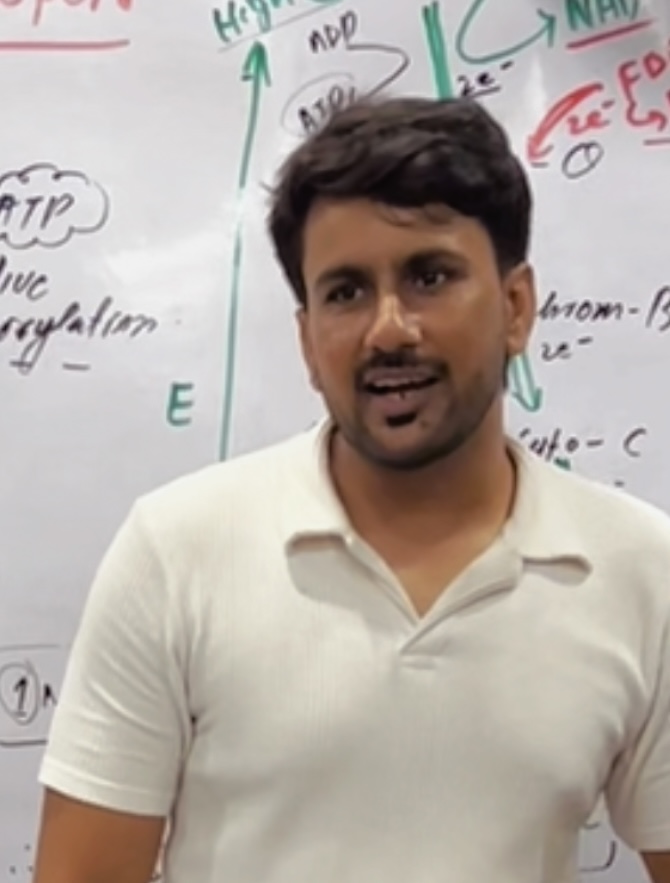 Teacher 4
